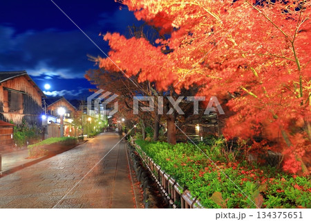【京都府】祇園白川の夜景 134375651