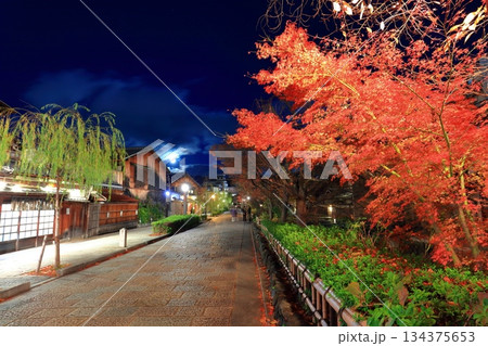 【京都府】祇園白川の夜景 【京都府】祇園白川の夜景 134375653