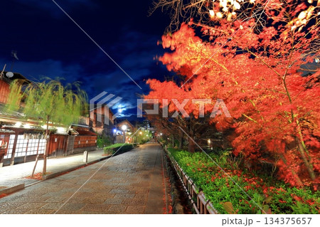 【京都府】祇園白川の夜景 134375657