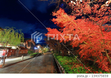 【京都府】祇園白川の夜景 134375659