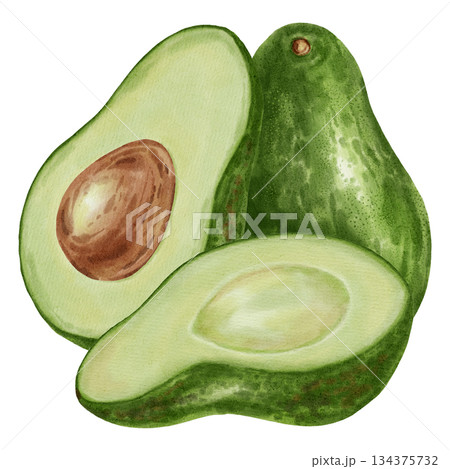 A hand-drawn watercolor illustration of an avocado composition with slices and leaves. Suitable for stores, cafes, packaging, menus, and products related to cooking, skincare, and health. 134375732