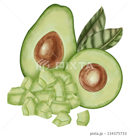 A hand-drawn watercolor illustration of an avocado composition with slices and leaves. Suitable for stores, cafes, packaging, menus, and products related to cooking, skincare, and health. 134375733