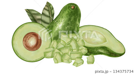 A hand-drawn watercolor illustration of an avocado composition with slices and leaves. Suitable for stores, cafes, packaging, menus, and products related to cooking, skincare, and health. A hand-drawn watercolor illustration of an avocado composition with slices and leaves. Suitable for stores, cafes, packaging, menus, and products related to cooking, skincare, and health. 134375734