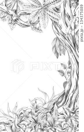 A rectangular vertical frame with a mighty tree trunk entwined with tropical plants. Isolated pencil illustration for event invitations, menus, and eco-hotel print design. 134375889