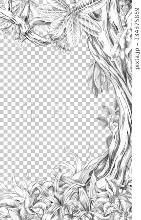 A rectangular vertical frame with a mighty tree trunk entwined with tropical plants. Isolated pencil illustration for event invitations, menus, and eco-hotel print design. A rectangular vertical frame with a mighty tree trunk entwined with tropical plants. Isolated pencil illustration for event invitations, menus, and eco-hotel print design. 134375889
