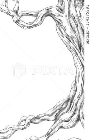 A rectangular vertical frame with a mighty tree trunk. Isolated pencil illustration for event invitations, menus, eco-hotel print design, poster printing, and interior design. 134375891