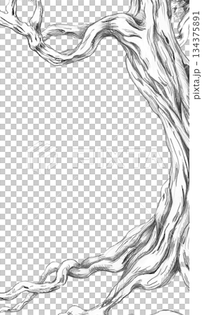 A rectangular vertical frame with a mighty tree trunk. Isolated pencil illustration for event invitations, menus, eco-hotel print design, poster printing, and interior design. 134375891