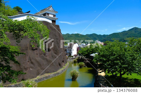 大分県 臼杵城跡 大分県 臼杵城跡 134376088