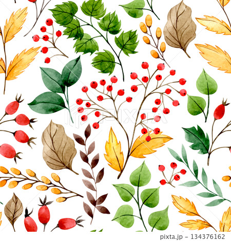 Watercolor autumn pattern with red rowan berries, rose hips and yellow leaves. 134376162
