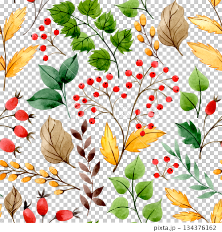 Watercolor autumn pattern with red rowan berries, rose hips and yellow leaves. Watercolor autumn pattern with red rowan berries, rose hips and yellow leaves. 134376162