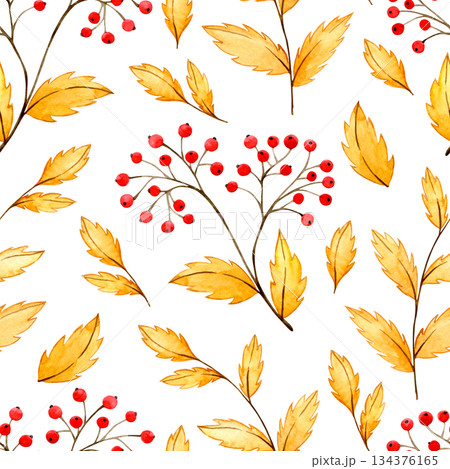 Watercolor autumn pattern with red rowan berries and yellow leaves Watercolor autumn pattern with red rowan berries and yellow leaves 134376165
