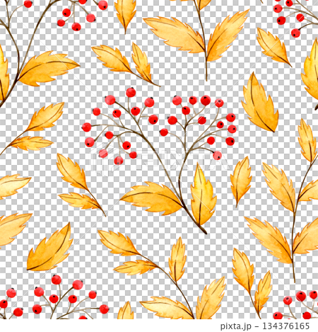 Watercolor autumn pattern with red rowan berries and yellow leaves Watercolor autumn pattern with red rowan berries and yellow leaves 134376165