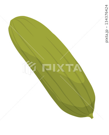 Homemade pickled cucumber. Clip-art of marinated food for packaging, label, menu, signboard or showcase. Fermented veggies, crunch gherkin with salt. Healthy vegetarian food Homemade pickled cucumber. Clip-art of marinated food for packaging, label, menu, signboard or showcase. Fermented veggies, crunch gherkin with salt. Healthy vegetarian food 134376424