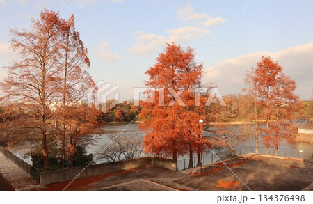 神戸市　西区　西神中央　湯谷池 134376498