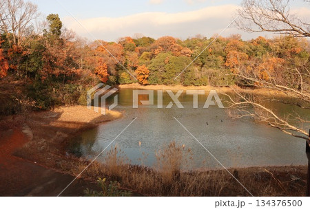 神戸市　西区　西神中央　湯谷池 134376500