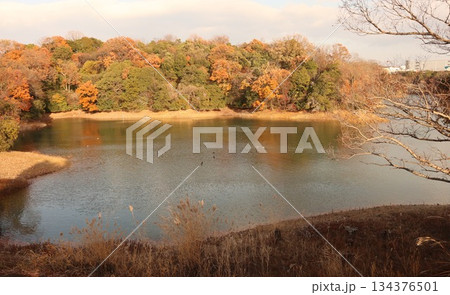 神戸市　西区　西神中央　湯谷池 134376501