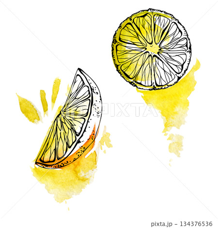 Vibrant yellow lemon slices with visible rind texture and juicy segments, isolated hand drawn in watercolor and ink. Beverage labels, cafe summer recipes, citrus patterns, organic skincare product. Vibrant yellow lemon slices with visible rind texture and juicy segments, isolated hand drawn in watercolor and ink. Beverage labels, cafe summer recipes, citrus patterns, organic skincare product. 134376536