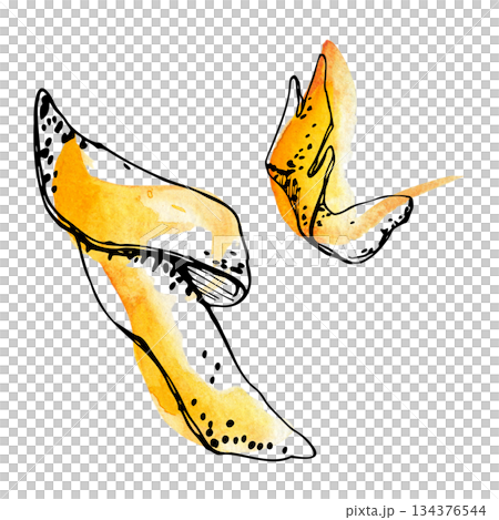 Curled orange peel ribbons with citrus texture, light ink outline, isolated hand drawn in watercolor and ink. Garnish for cocktail artwork, cafe menu graphics, citrus collection sets, dessert recipe Curled orange peel ribbons with citrus texture, light ink outline, isolated hand drawn in watercolor and ink. Garnish for cocktail artwork, cafe menu graphics, citrus collection sets, dessert recipe 134376544