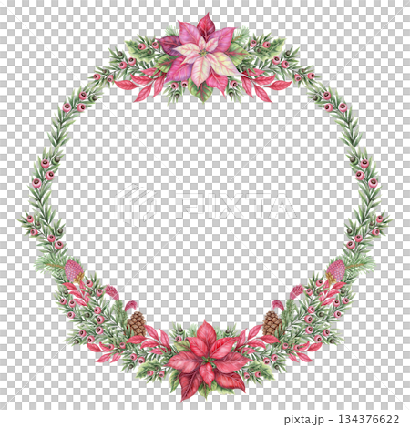 Lush Christmas wreath of poinsettia flower and yew branches in the circle shape in hand painted watercolor. Pink red and green create a winter look. Perfect for festive frame template and card design. 134376622