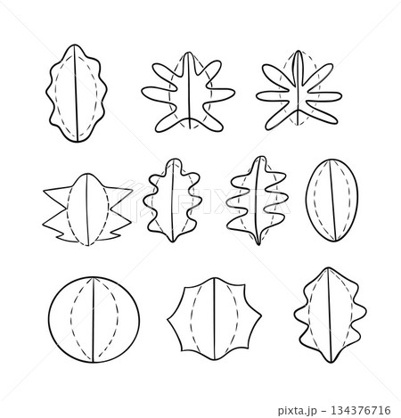 Vector isolated illustration of the basics of leaf morphology. Types of leaf plate. Study of botany. 134376716