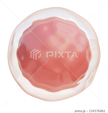 ovum cartoon style 3D icon graphic ovum cartoon style 3D icon graphic 134376862