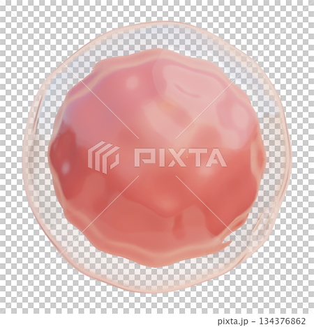 ovum cartoon style 3D icon graphic ovum cartoon style 3D icon graphic 134376862