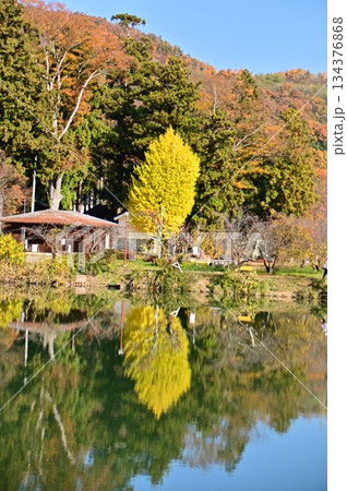 治田池に映り込む紅葉 134376868