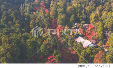 Nov 27 2025 Sacred Hiyoshi Taisha Shrine in Historic otsu Japan Nov 27 2025 Sacred Hiyoshi Taisha Shrine in Historic otsu Japan 134376901