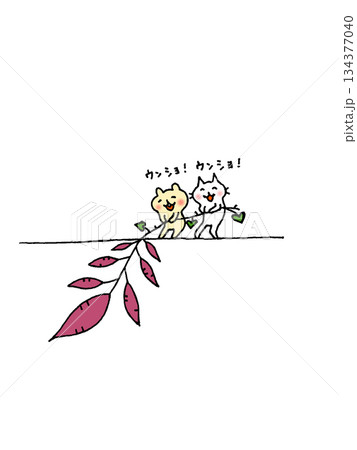 お芋掘りをする猫ちゃんとリスちゃんのイラスト お芋掘りをする猫ちゃんとリスちゃんのイラスト 134377040