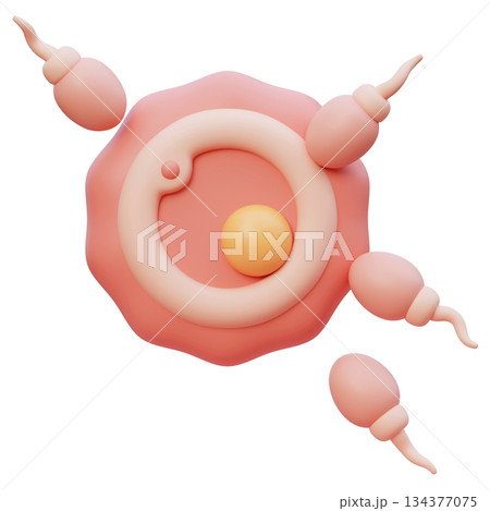 Sperm and Egg Cell Fertilization cartoon style 3D graphic 134377075