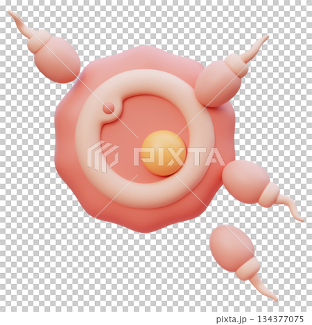 Sperm and Egg Cell Fertilization cartoon style 3D graphic 134377075