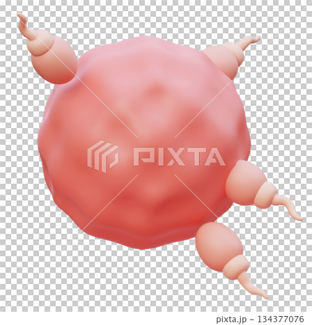 Sperm and Egg Cell Fertilization cartoon style 3D graphic 134377076