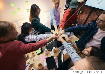 Startup team celebrating milestone in modern work space. Startup team celebrating milestone in modern work space. 134377211