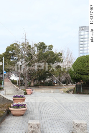 2024年・福岡・福岡市・風景・中央区城内・舞鶴公園・其の三十六 2024年・福岡・福岡市・風景・中央区城内・舞鶴公園・其の三十六 134377467