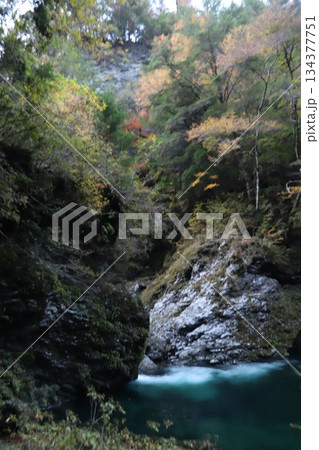 黒い岩壁に挟まれた、深いエメラルドグリーンの渓流 134377751