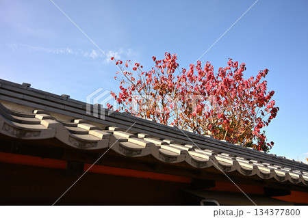 犬山城下町の町並み（愛知県犬山市） 134377800