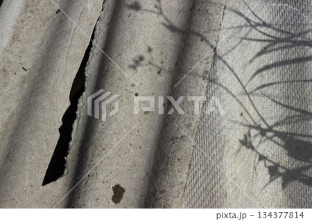 Old slate texture with shadows of plants and flowers, horizontal photo. Decorative background for design, herbal silhouette, construction industry material 134377814