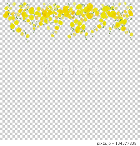 含羞草花自然框架插圖 134377839