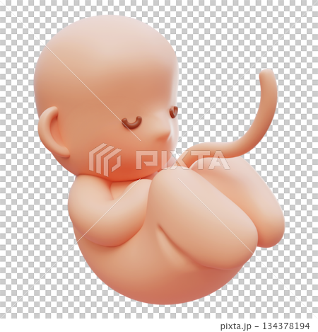 Fetus Embryo baby cartoon style 3D graphic 134378194