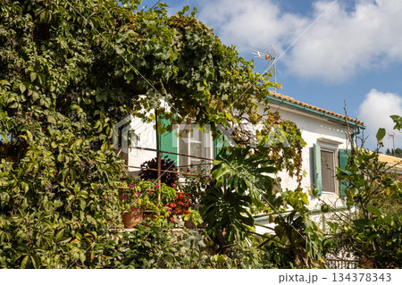 House in a wild garden, Paxos, Greece 134378343