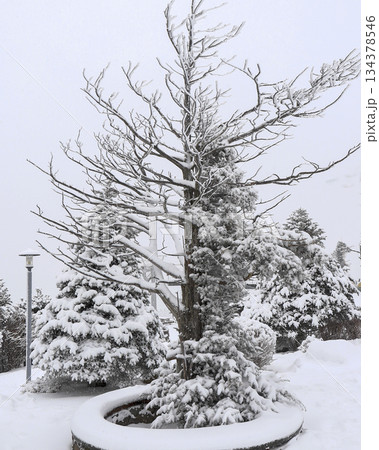 Balwangsan mountain covered in white snow. 134378546