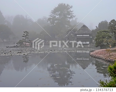 岡山県津山市にある回遊式日本庭園「衆楽園」:霧の風景 岡山県津山市にある回遊式日本庭園「衆楽園」:霧の風景 134378713