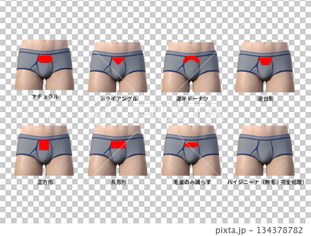 男性の美容脱毛 Vラインの処理方法一覧のイラストセット 134378782