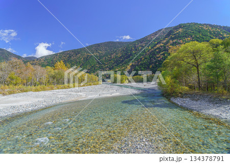上高地の秋　紅葉のカラマツ林と梓川 134378791