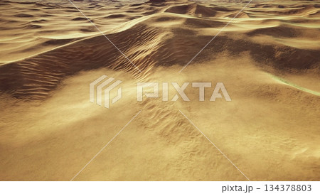 Golden sands stretch endlessly under the bright sun, creating a mesmerizing landscape. The gentle waves of dunes tell stories of shifting winds and time in this serene desert scene. Golden sands stretch endlessly under the bright sun, creating a mesmerizing landscape. The gentle waves of dunes tell stories of shifting winds and time in this serene desert scene. 134378803