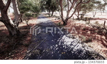 A tranquil dirt road stretches through a quiet area, surrounded by tall trees. Soft sunlight filters through the leaves, casting gentle shadows on the ground. 134378833