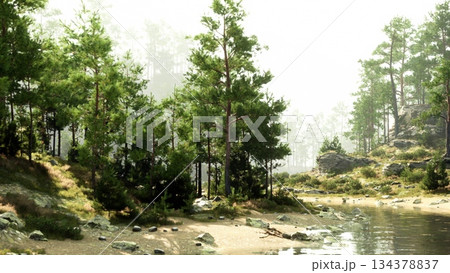 Sunlight filters through tall trees by the riverbank. Soft waves gently lap against the shore, creating a peaceful atmosphere in this beautiful natural landscape. Sunlight filters through tall trees by the riverbank. Soft waves gently lap against the shore, creating a peaceful atmosphere in this beautiful natural landscape. 134378837