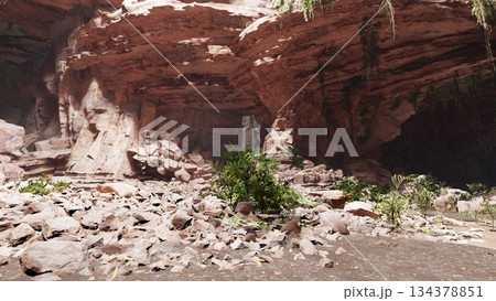 In a secluded cave, sunlight filters through cracks, revealing scattered rocks and vibrant plants. The serene environment invites adventurers to explore this hidden natural treasure. In a secluded cave, sunlight filters through cracks, revealing scattered rocks and vibrant plants. The serene environment invites adventurers to explore this hidden natural treasure. 134378851