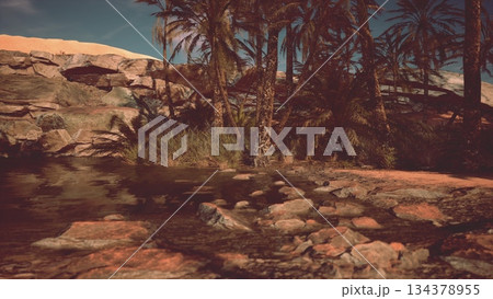Lush palm trees sway gently beside a clear water stream flowing through rocky terrain. The sun casts a warm glow, illuminating the serene oasis in a desert setting. Lush palm trees sway gently beside a clear water stream flowing through rocky terrain. The sun casts a warm glow, illuminating the serene oasis in a desert setting. 134378955