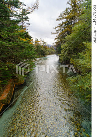 上高地の秋　透き通る水　梓川 134379058